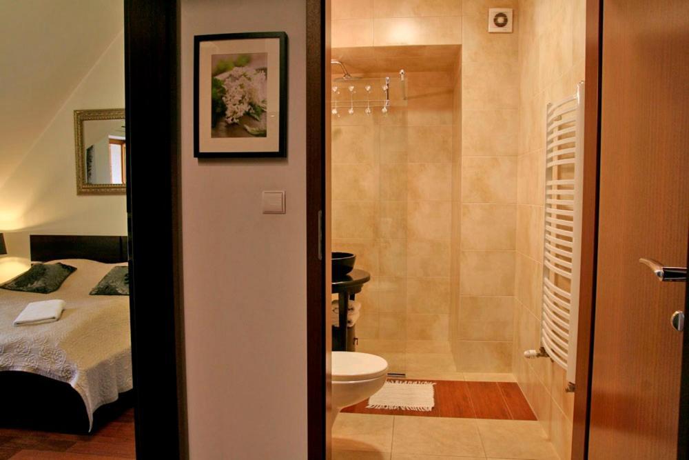 זקופאנה Apartserwis - Gorace Zrodla Apartament Lodowa Kopa 2 מראה חיצוני תמונה
